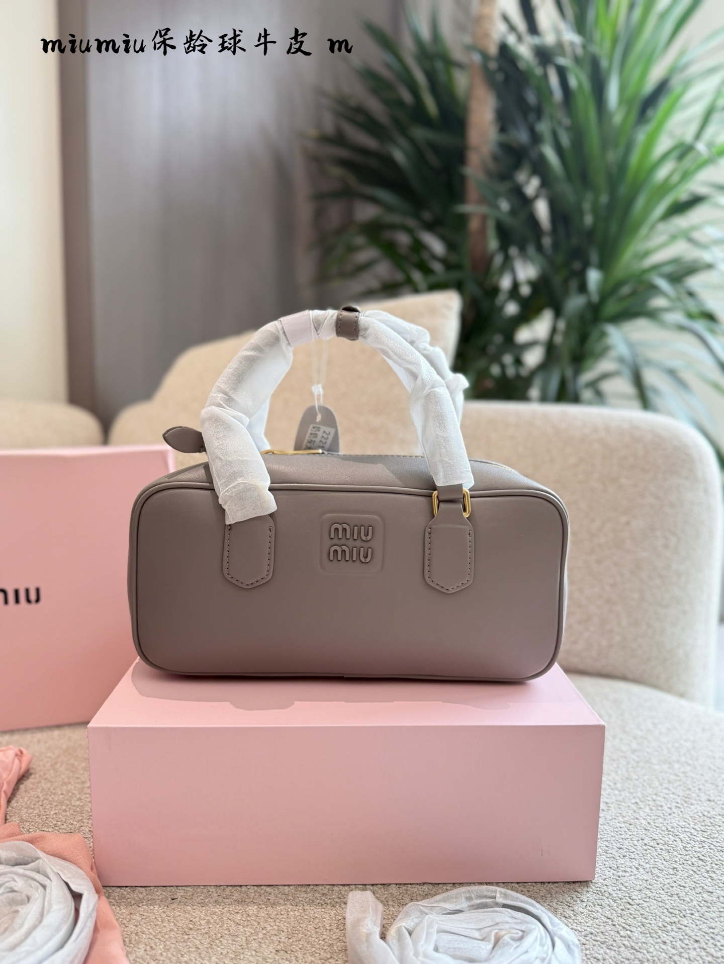 MiuMiu bag 254